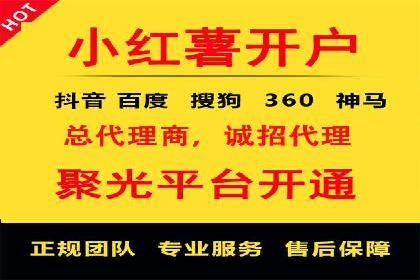 探索SEM代运营公司的经典案例与策略